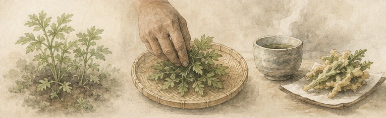 左に畑に育つセリ科の草、中央に竹ざるの上の葉を摘む手、右に湯気の立つ茶碗と天ぷらが並ぶ水彩画。